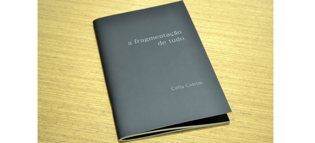 CSC1258 1